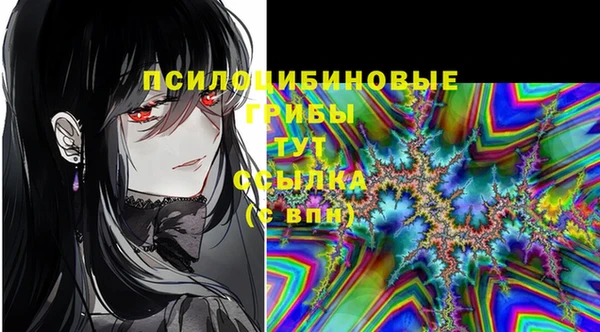 a pvp Абинск