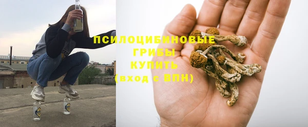 a pvp Абинск