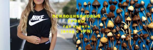 дурь Абаза