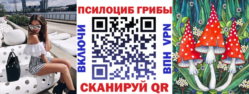 наркотики  Череповец  Псилоцибиновые грибы MAGIC MUSHROOMS 